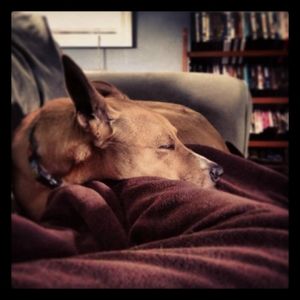 Meet your Posher, Elizabeth